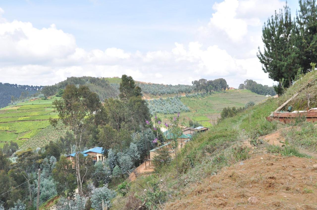 Nyungwe Nziza Ecolodge Kitabi Eksteriør bilde