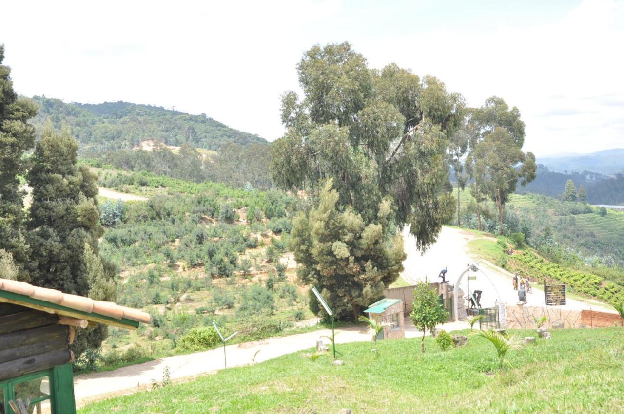 Nyungwe Nziza Ecolodge Kitabi Eksteriør bilde