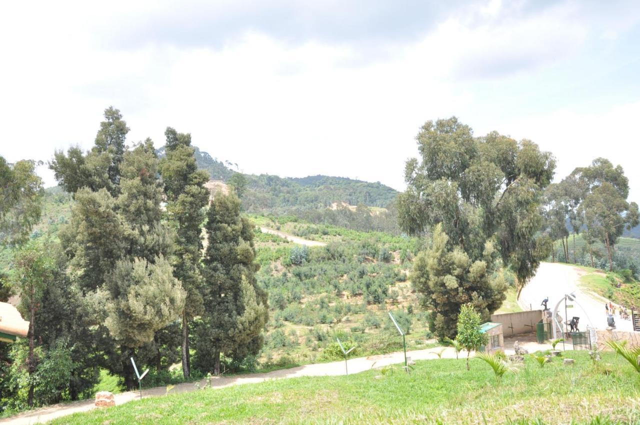 Nyungwe Nziza Ecolodge Kitabi Eksteriør bilde