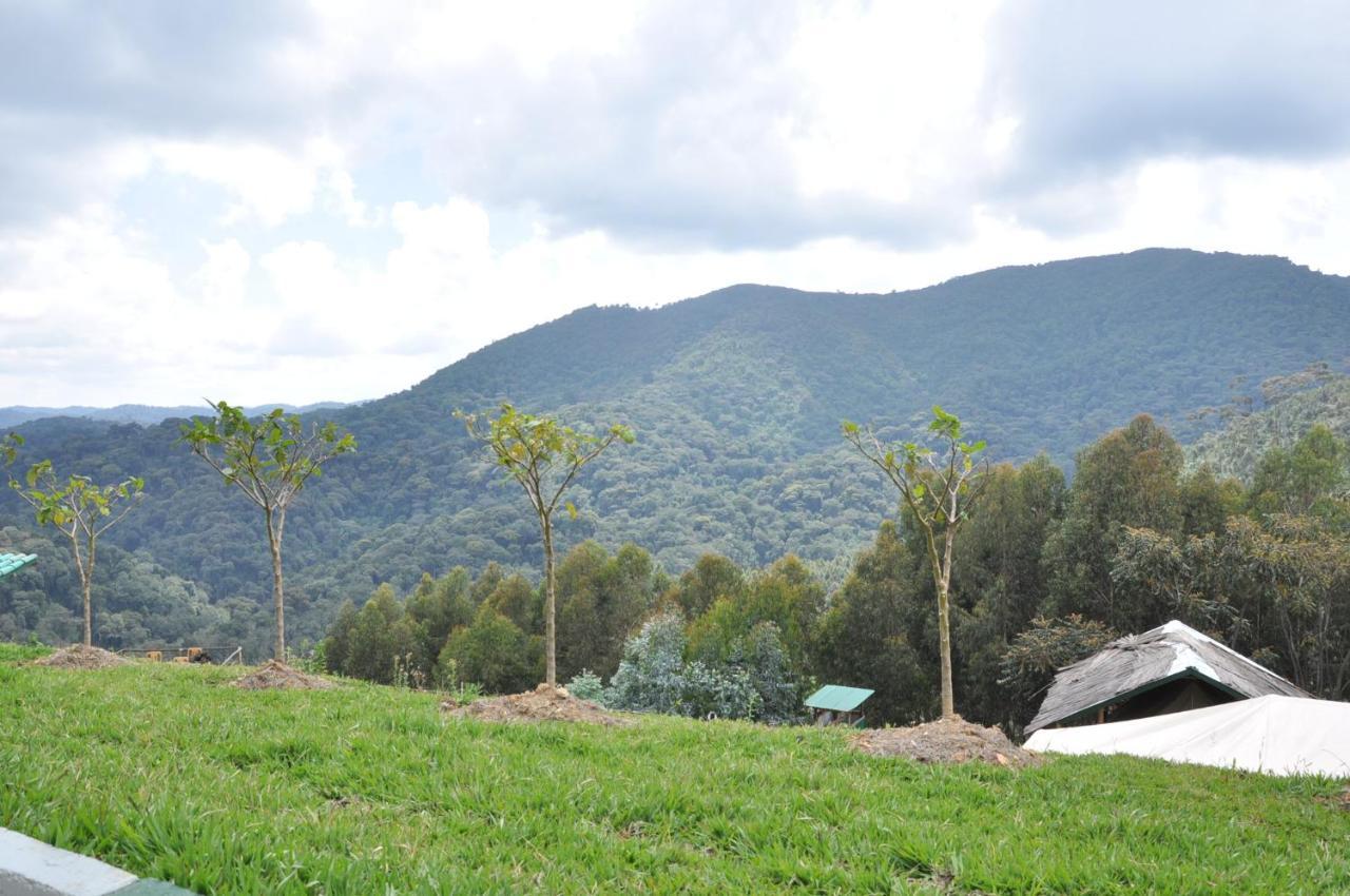 Nyungwe Nziza Ecolodge Kitabi Eksteriør bilde
